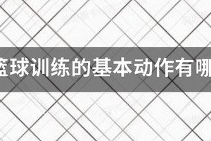 篮球基础训练动作儿童